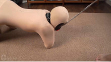 手足がない  着ぐるみ K9 女

